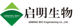 我的網(wǎng)站