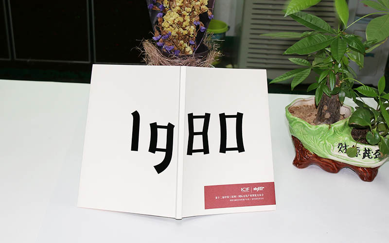 畫(huà)冊(cè)印刷,畫(huà)冊(cè)設(shè)計(jì),企業(yè)畫(huà)冊(cè)印刷