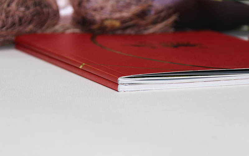 企業(yè)畫冊(cè)