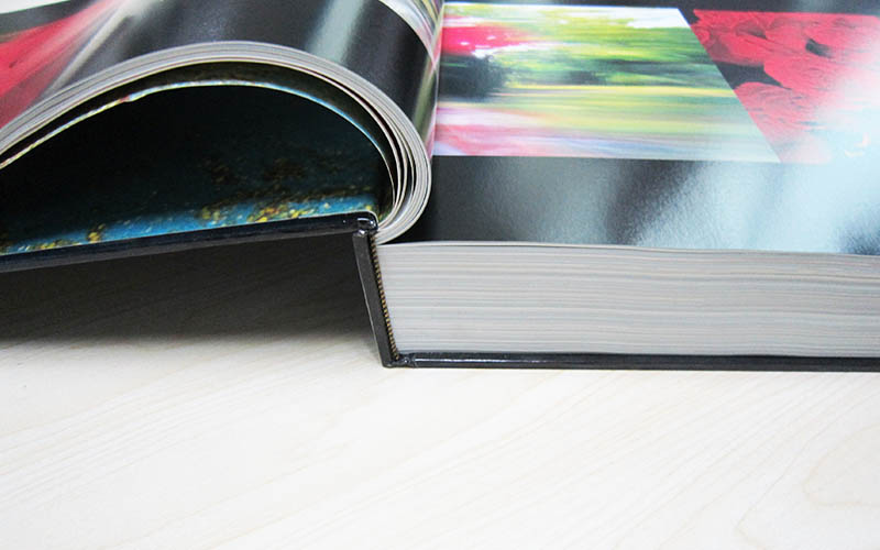 兒童書刊畫冊(cè)印刷,兒童畫冊(cè)印刷,兒童植物精裝書印刷