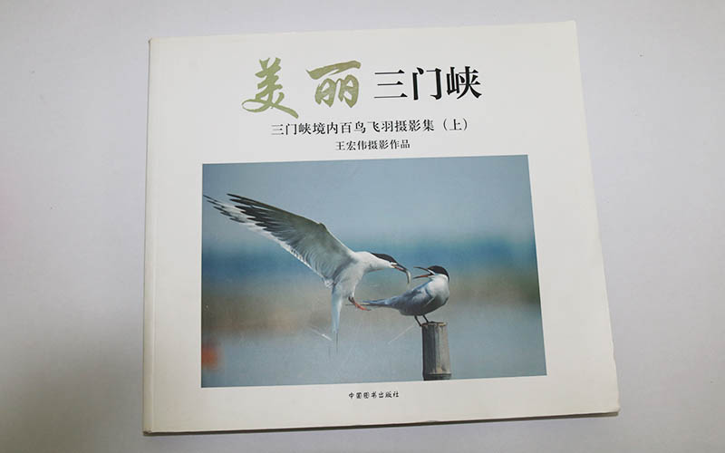 畫(huà)冊(cè)印刷廠家